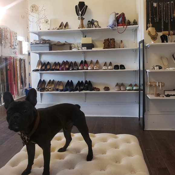 Luxe consignmet  376 pleasant st Northampton MA 01060 - Picture 10 of 12